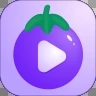 茄子视频正版app无限看版